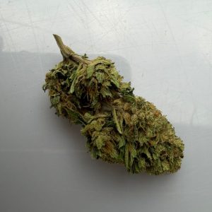 Mangolomania - à partir de 6,36€/g