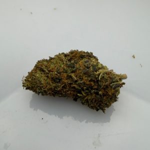 Revuelto - à partir de 8,46€/g